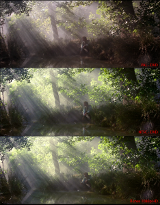 From the 1981 film Dragonslayer. A forest scene. All versions scaled to 1080p. Note the crispness of the grass in the iTunes version, and the browness of the grass in the PAL DVD version.